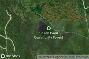 Shiloh Pond