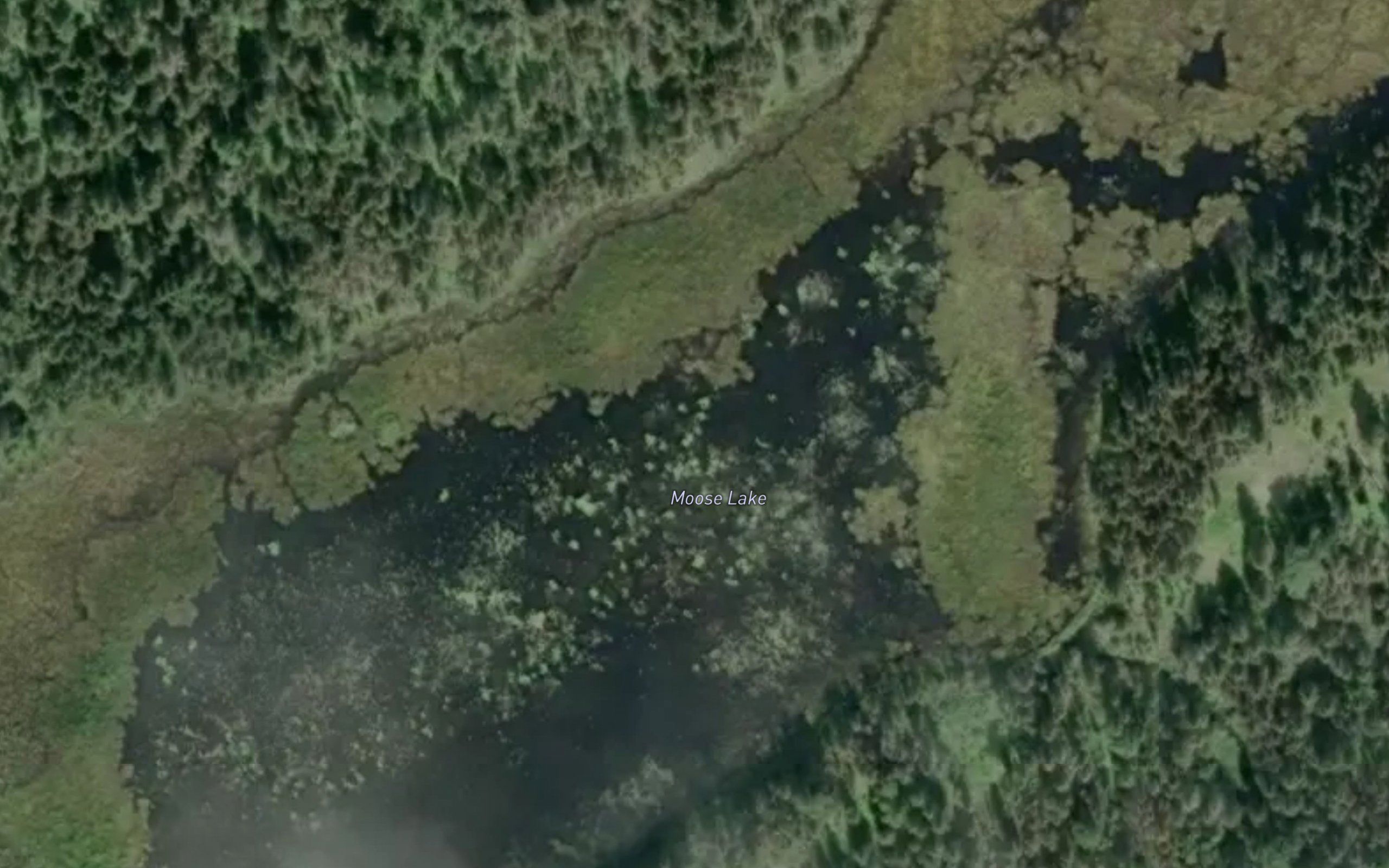 Moose Lake
