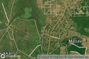 Paddankaddimel Kulam