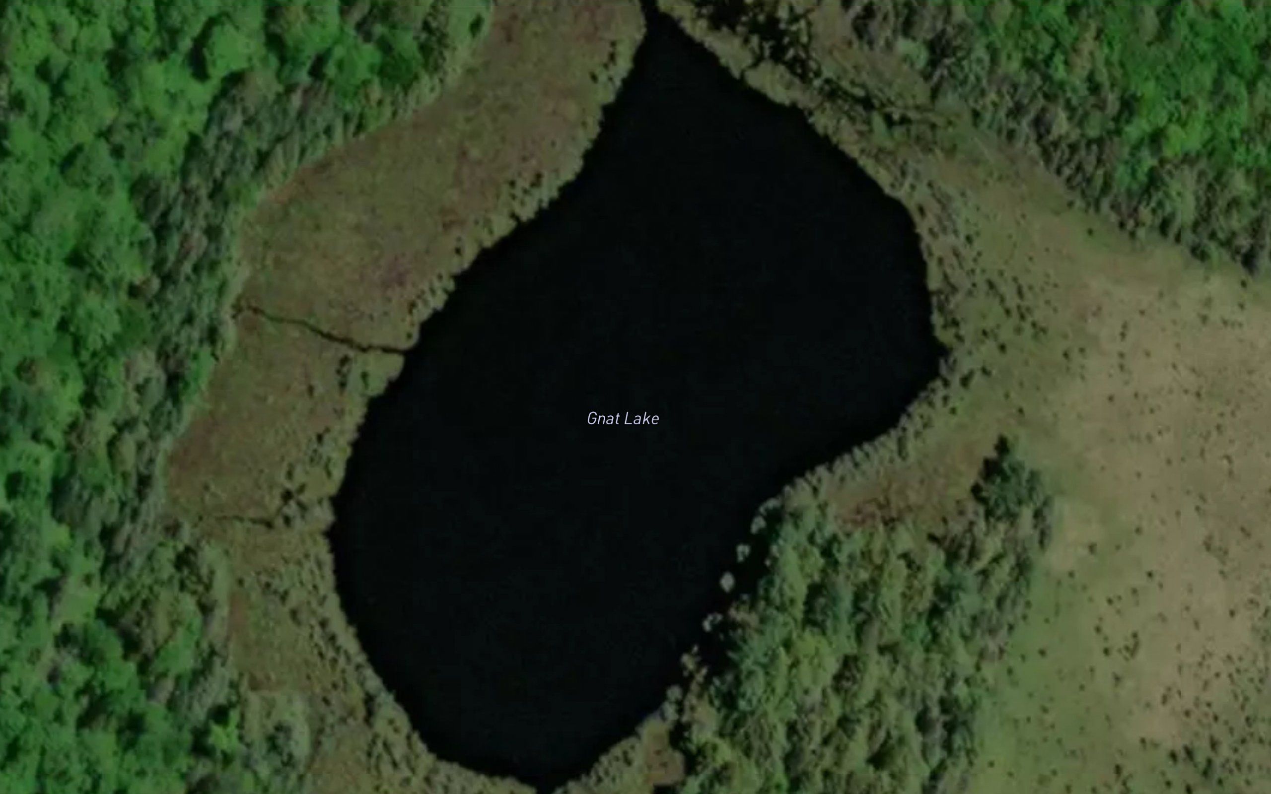 Gnat Lake