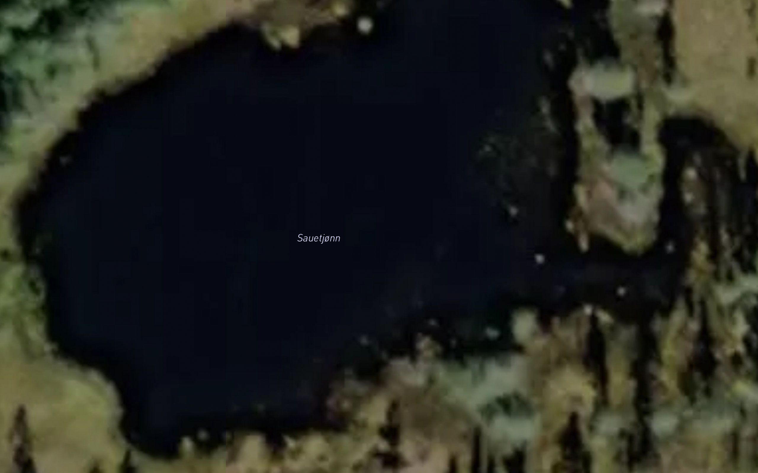 Sauetjonn