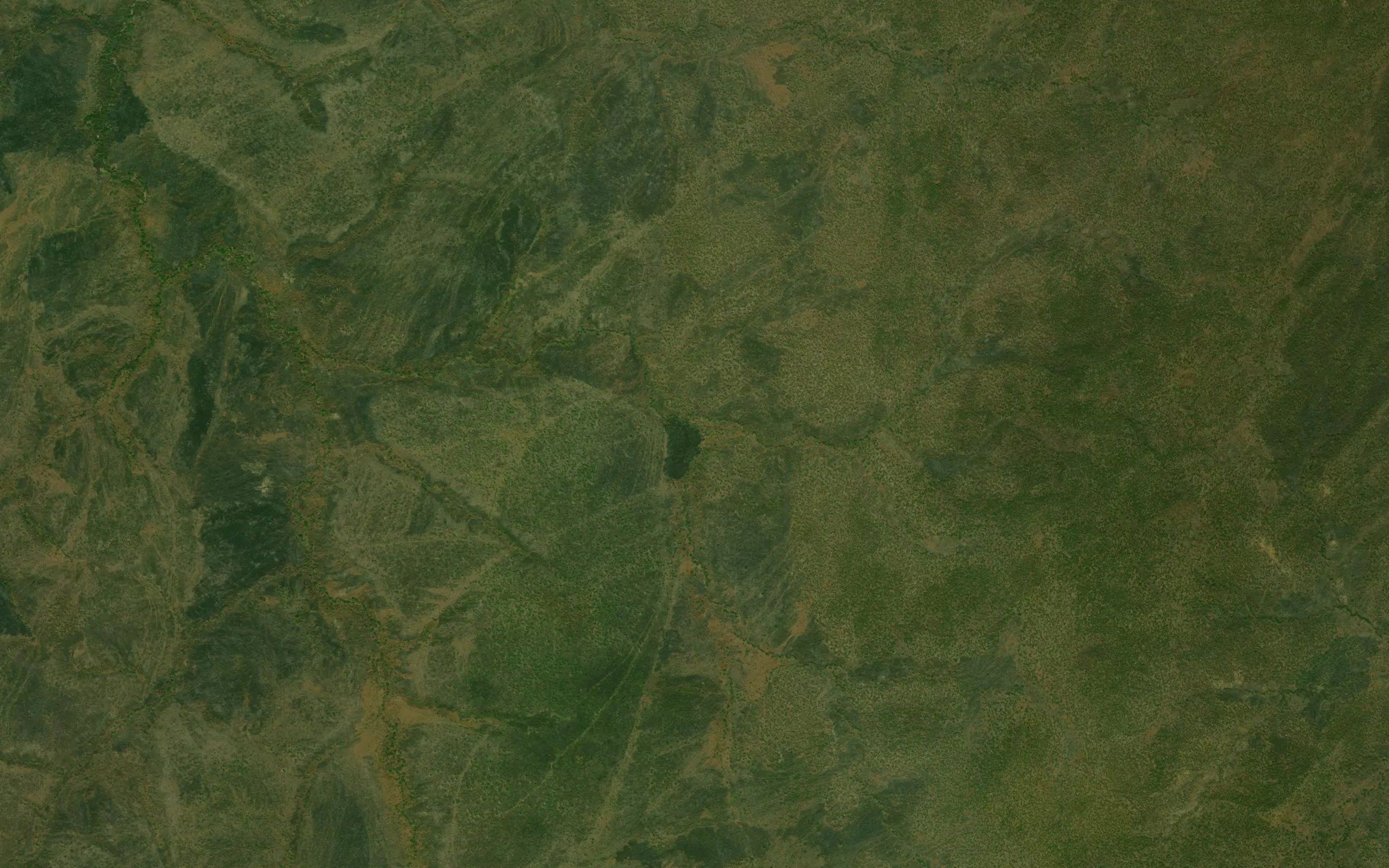 Nenyelani