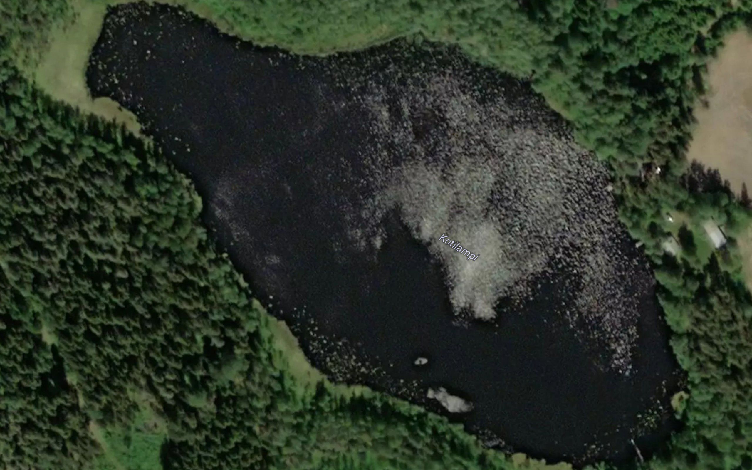 Kotilampi