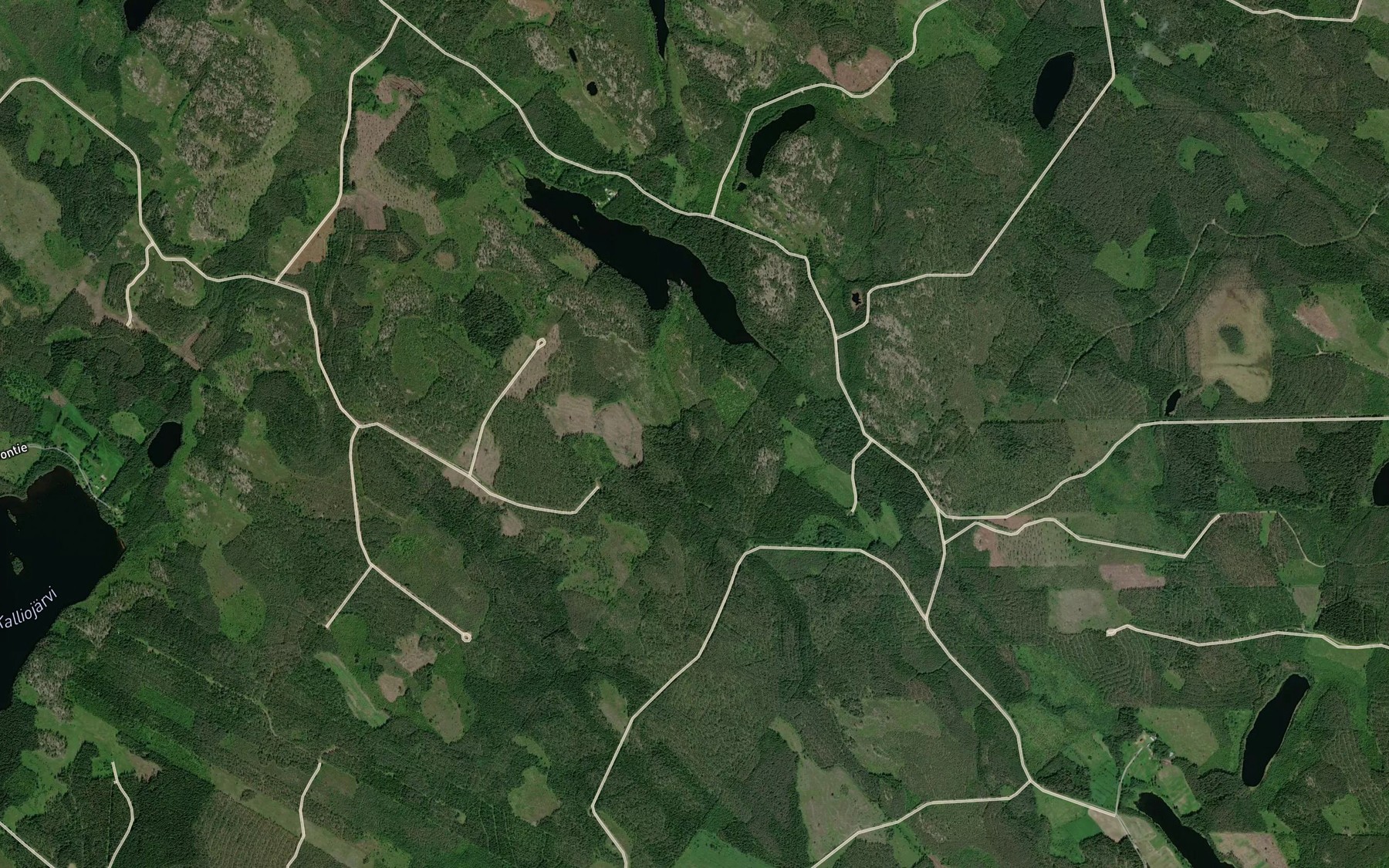 Satellite map of the Sammakkolampi