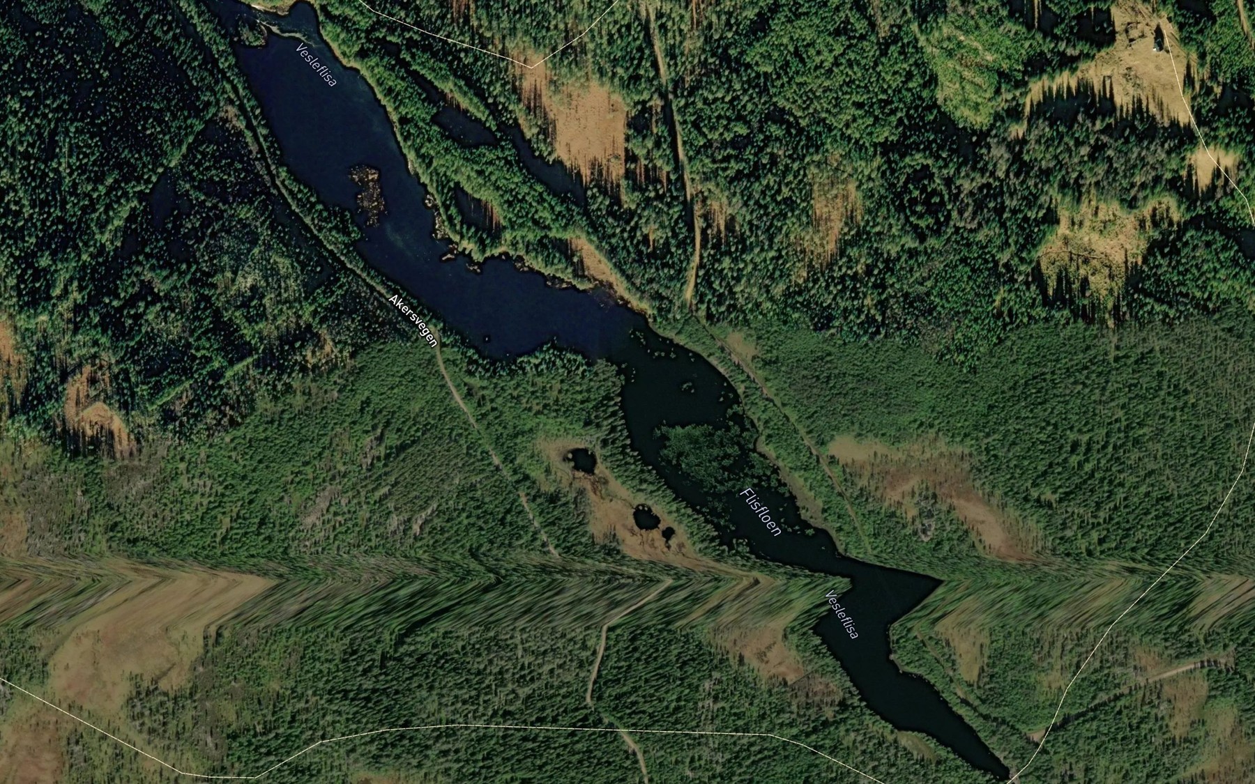 Satellite map of the Flisfloen