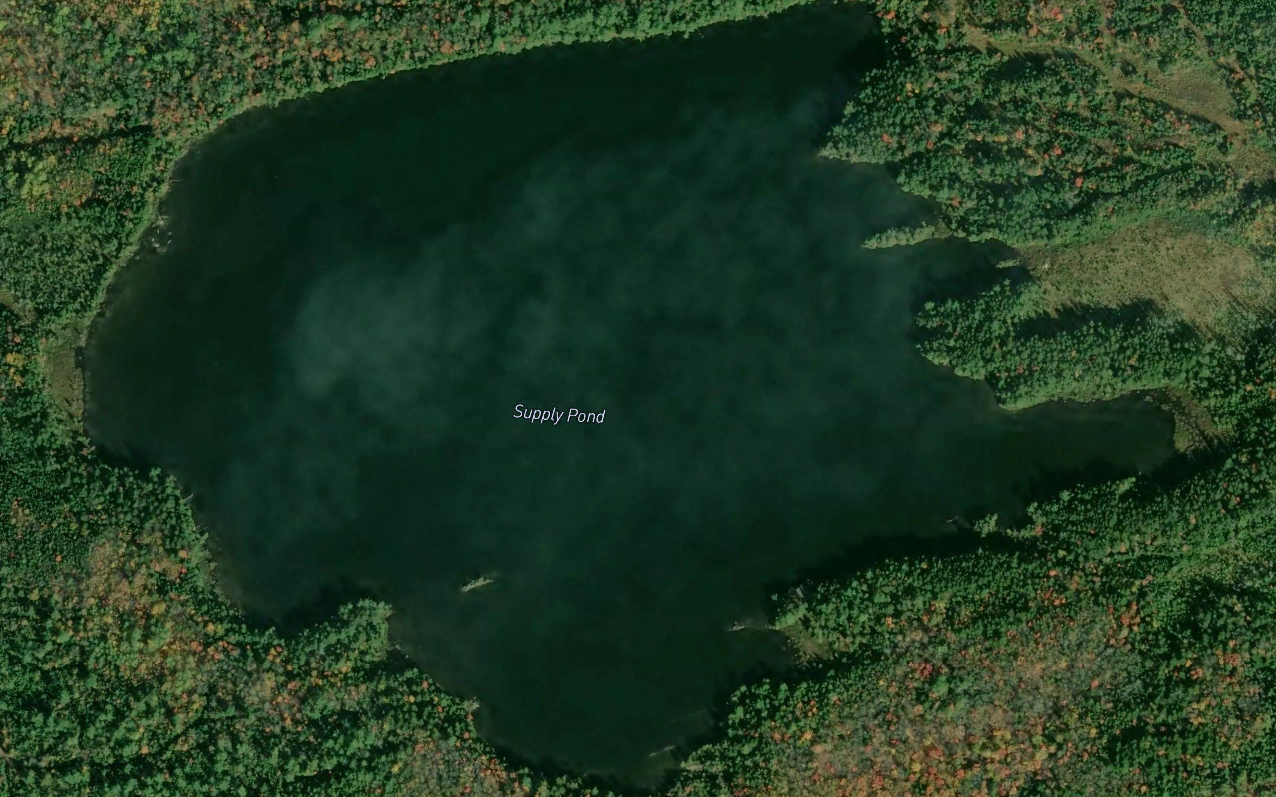 Supply Pond