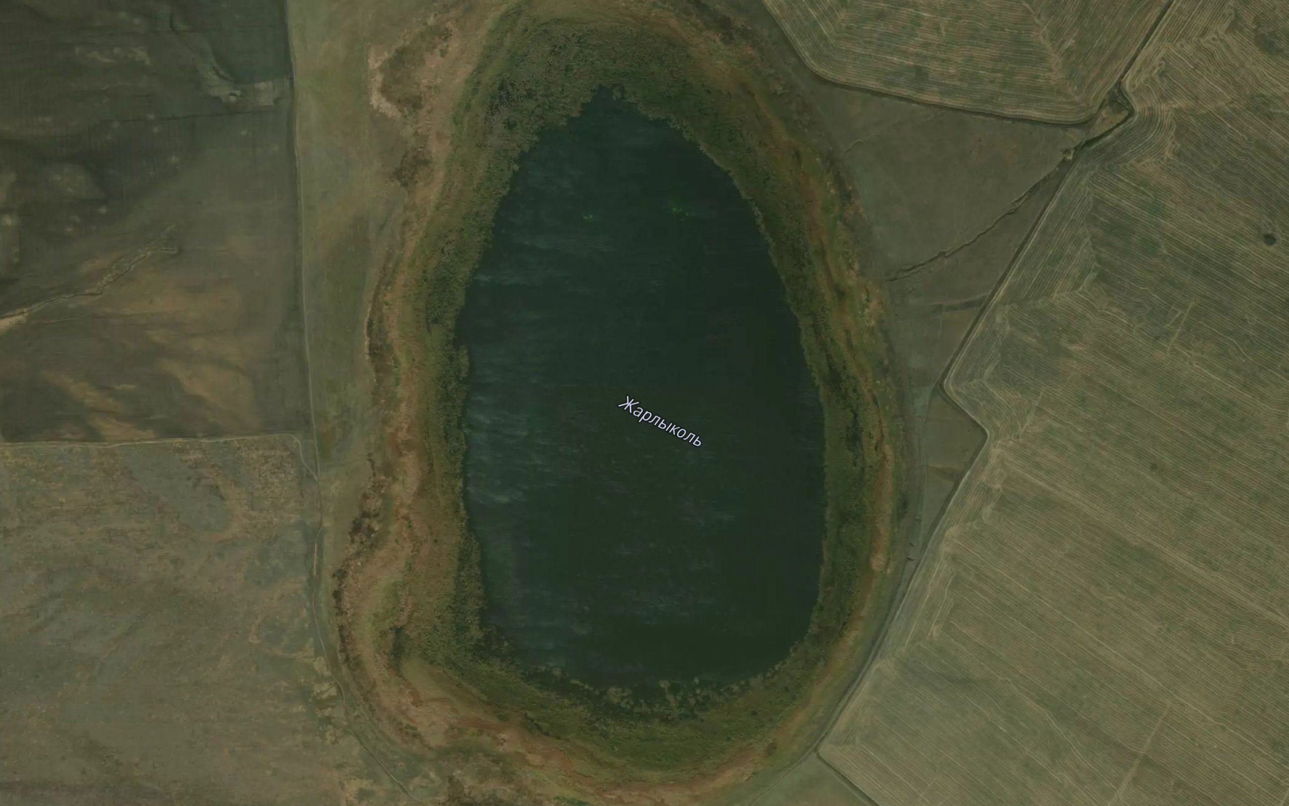 Zhardykol