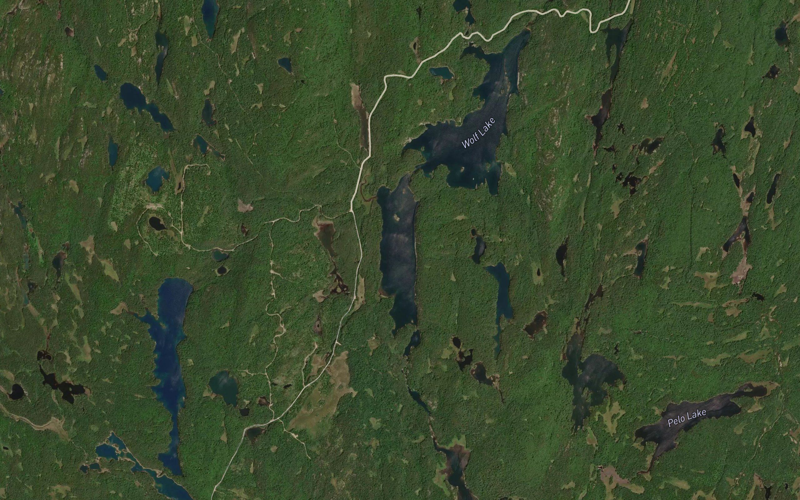 Silvester Lake