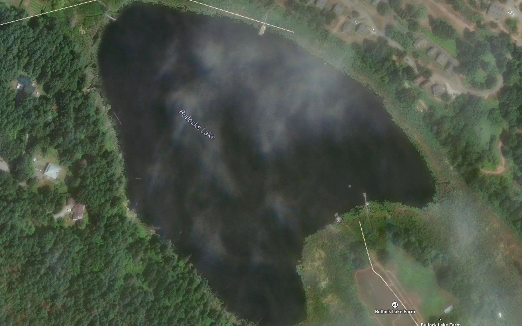 Satellite map of the Bullocks Lake