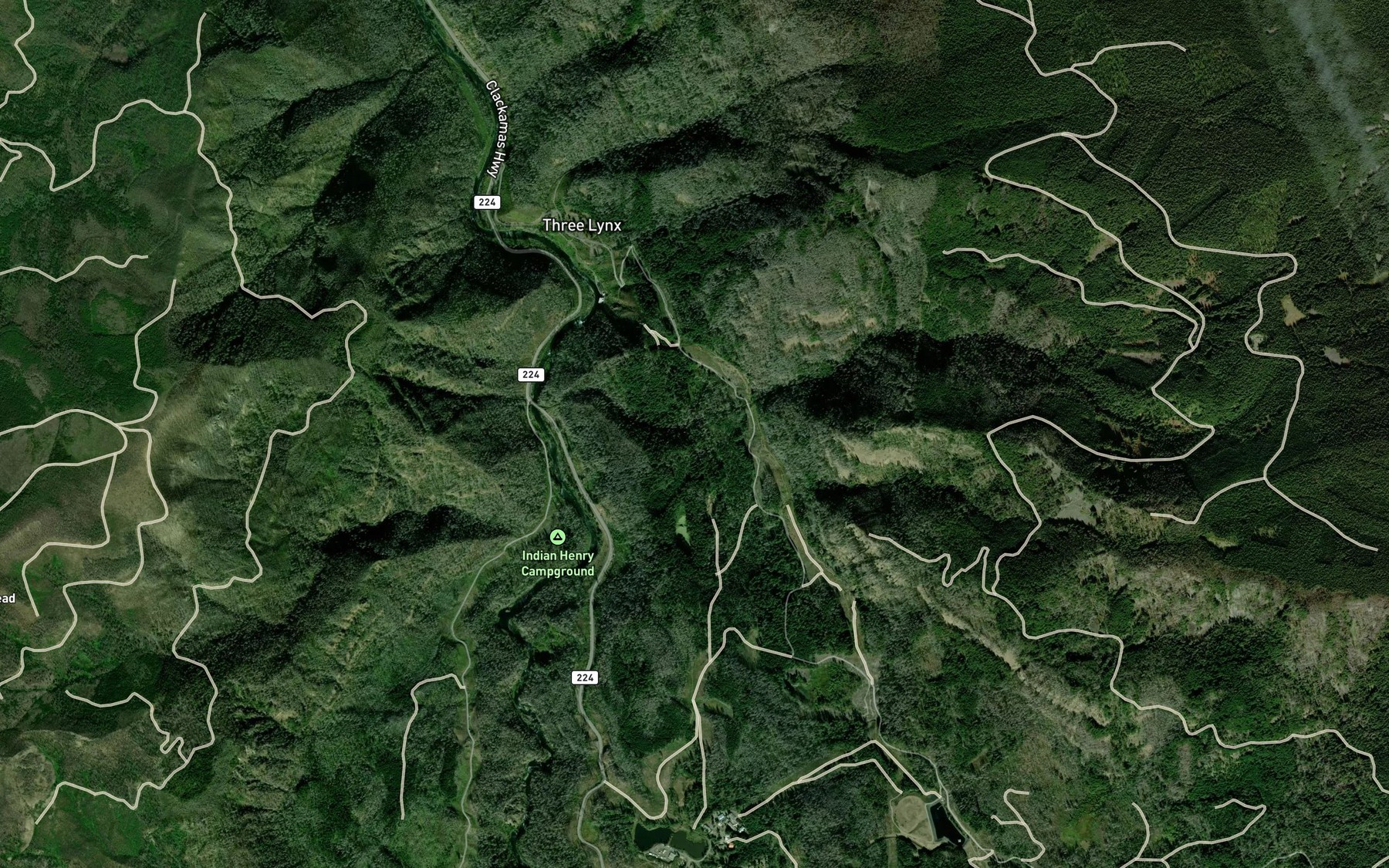 Satellite map of the South Fork Cripple Creek