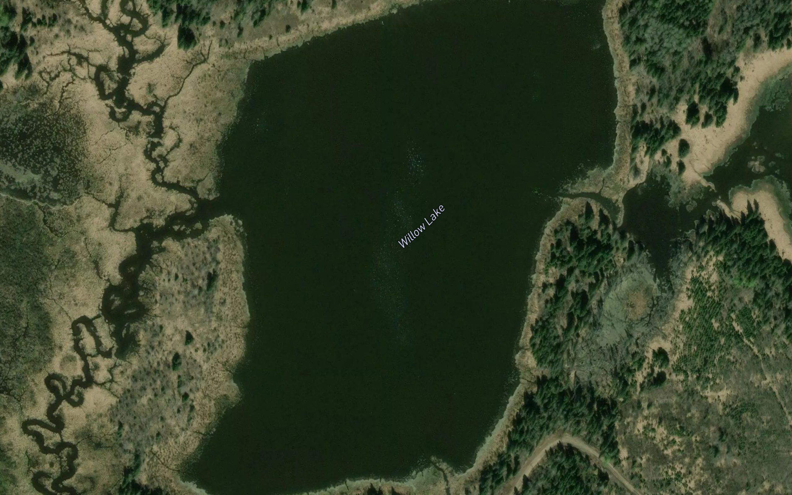 Willow Lake