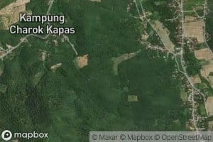 Charok Kapas Pendiat