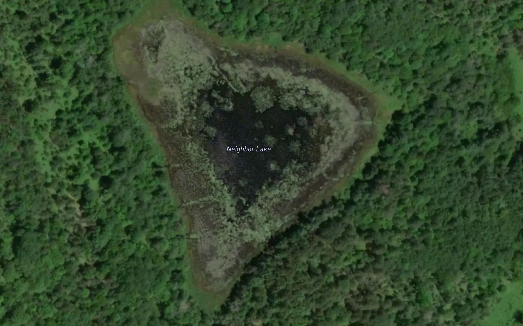 Satellite map of the Neighbor Lake