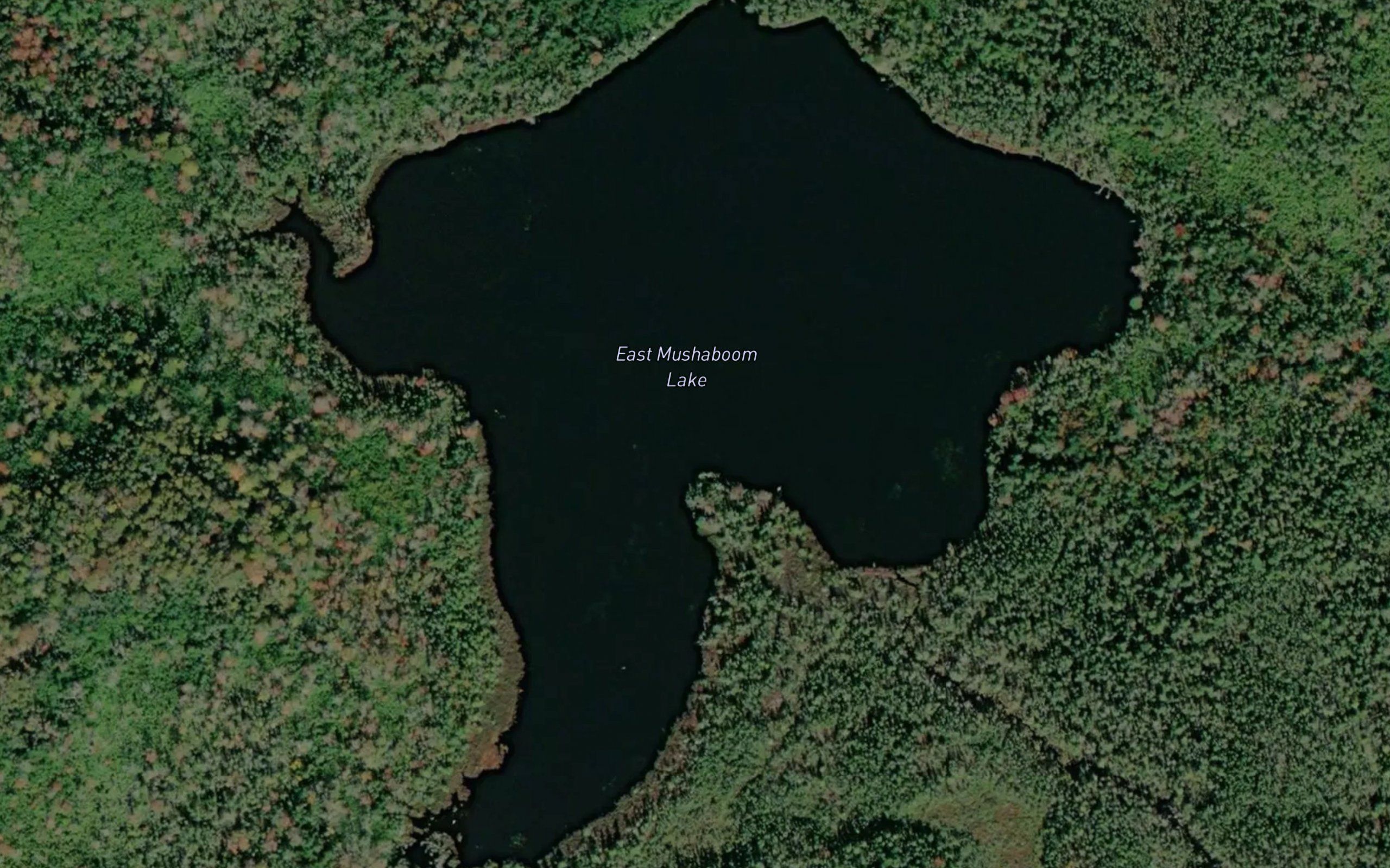 East Mushaboom Lake
