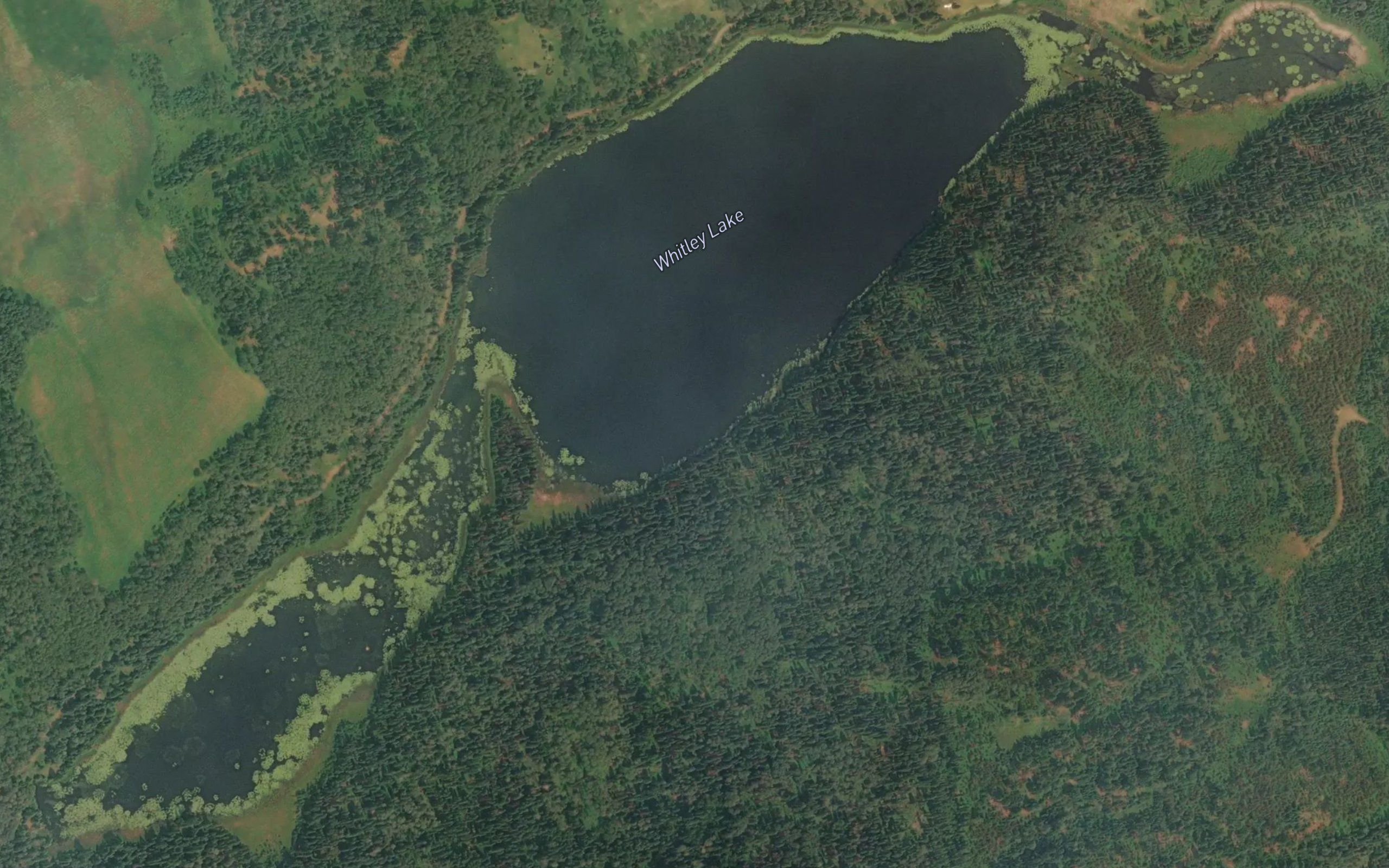 Whitley Lake