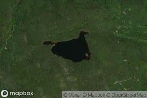 Lac Pelican