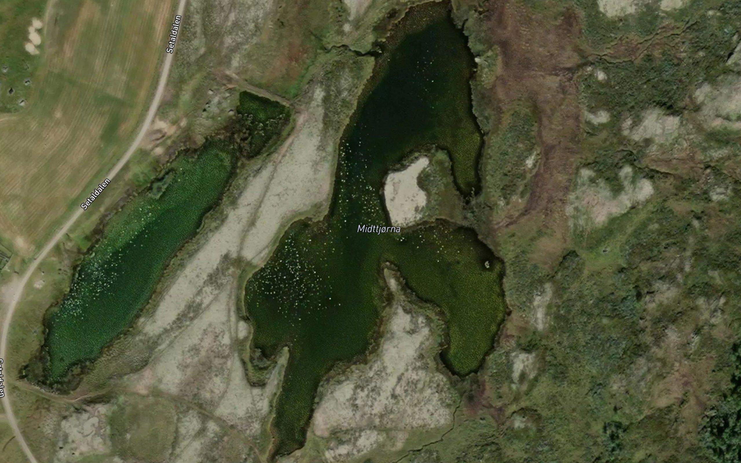 Midttjorn