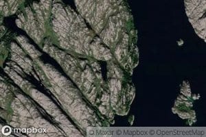 Kattetjorna