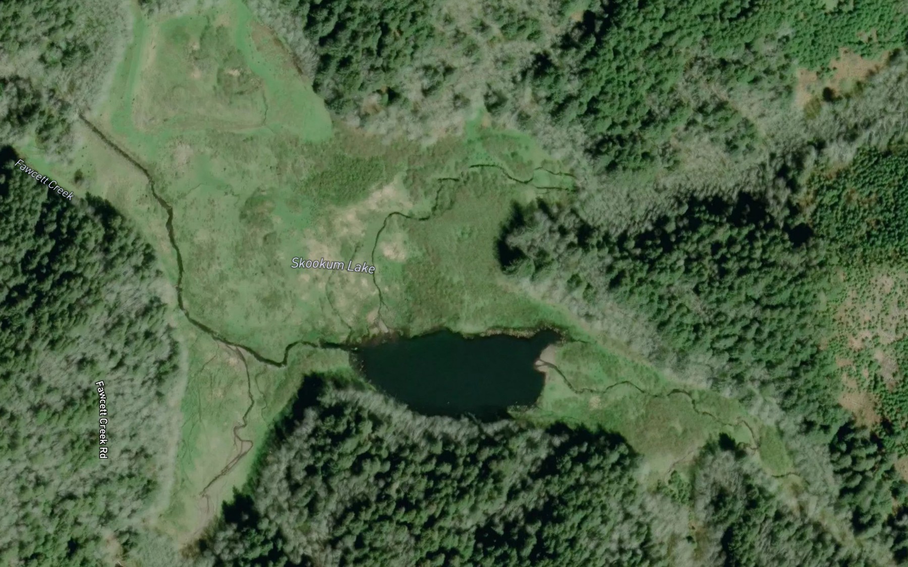 Satellite map of the Skookum Lake