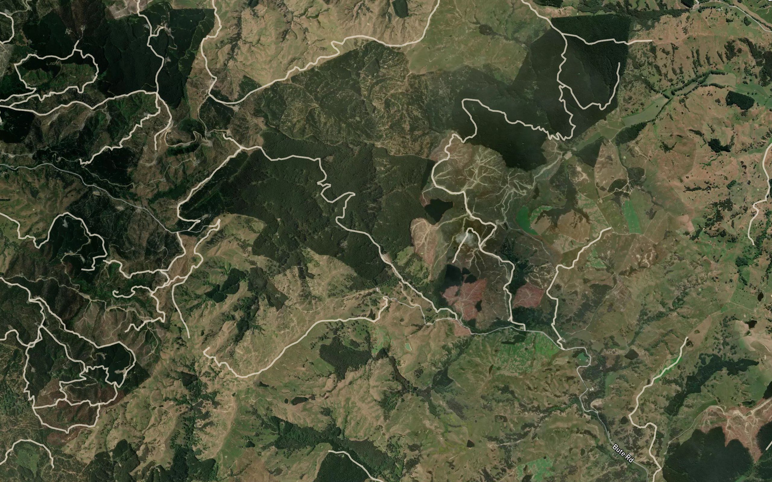 Whakarora Stream