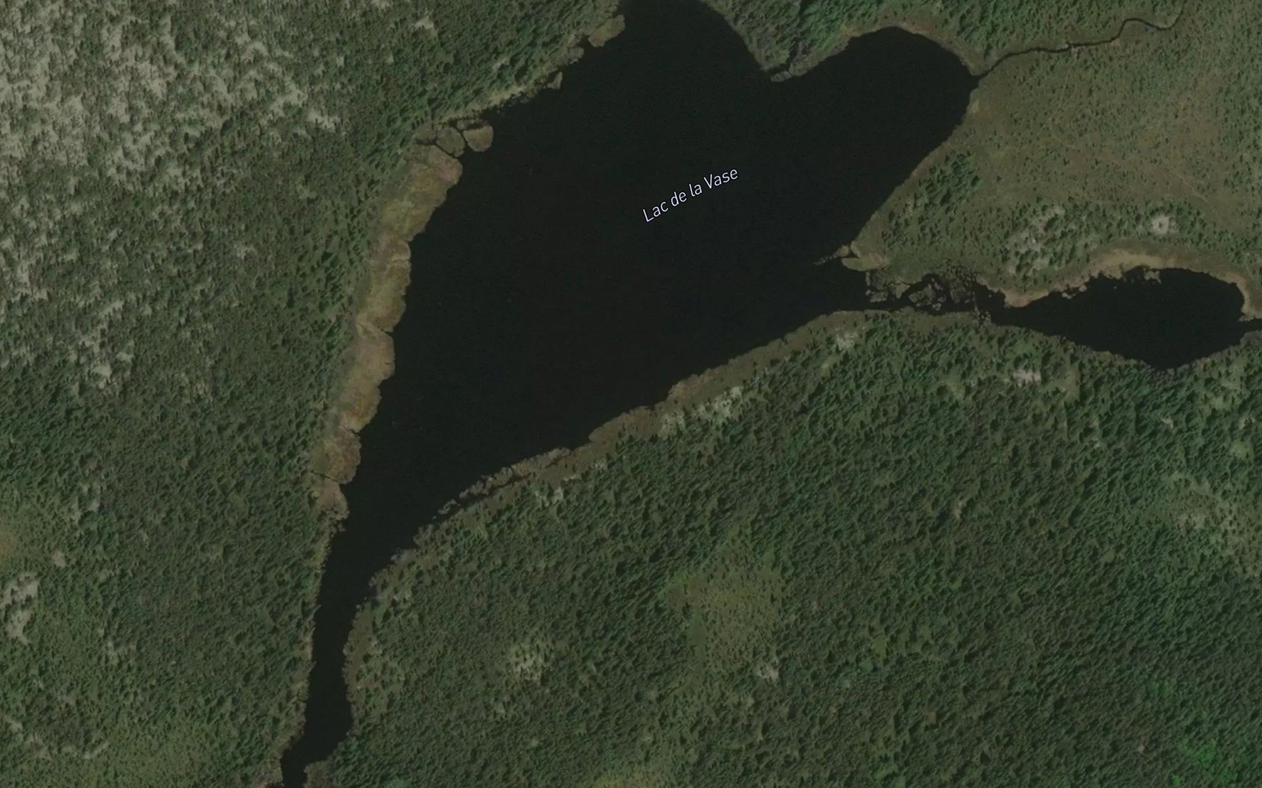 Satellite map of the Lac de la Vase