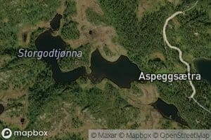 Storgodtjorna