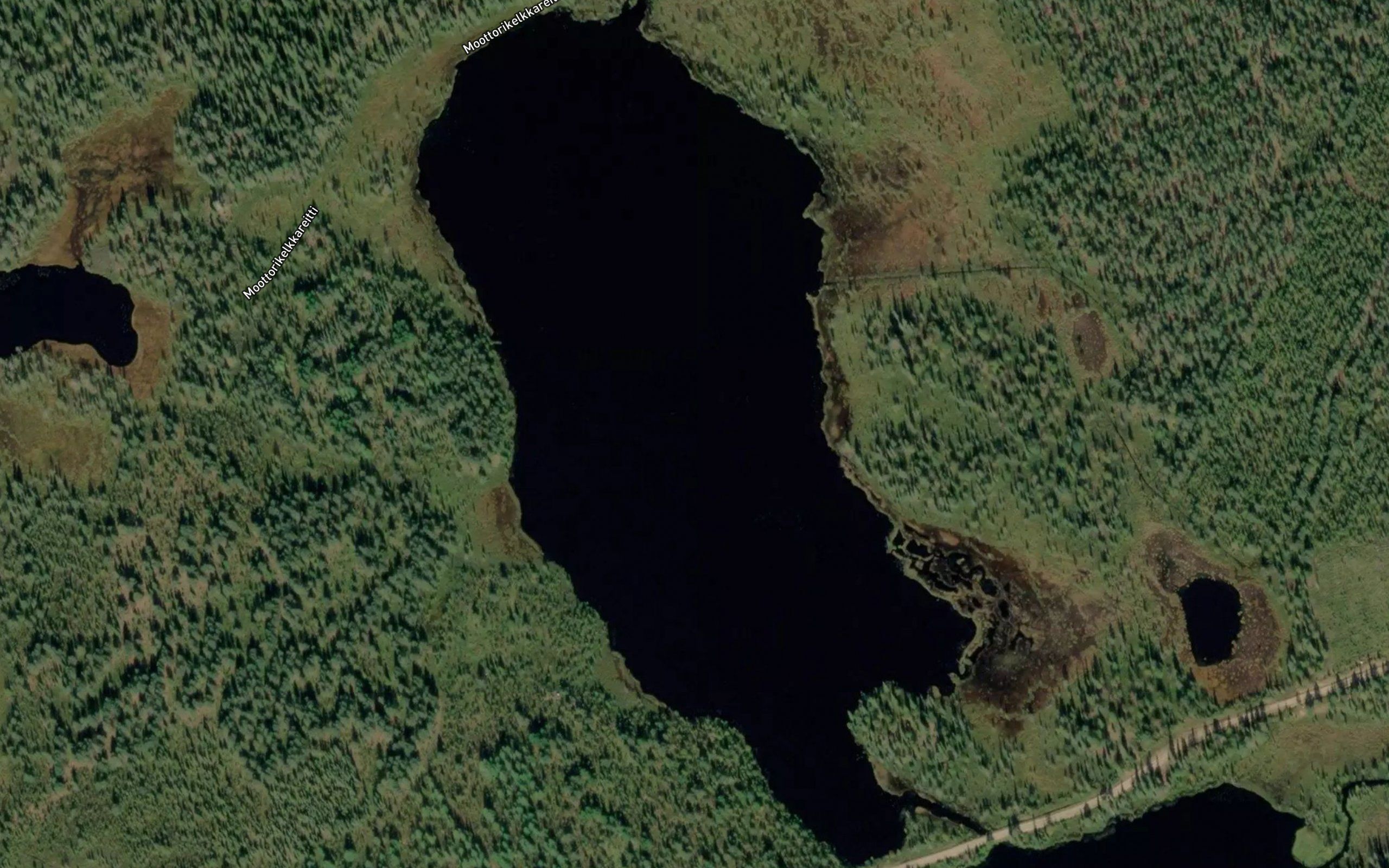 Heinalampi