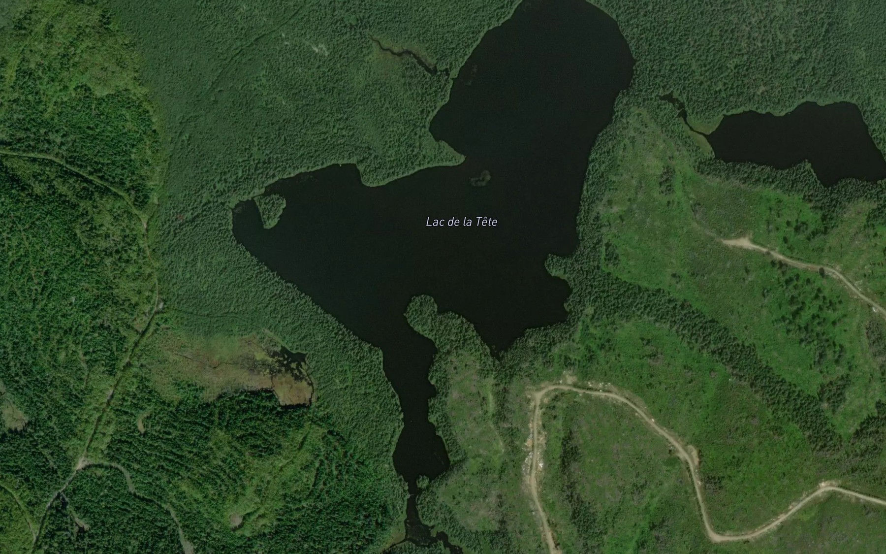 Satellite map of the Lac de la Tete