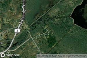 Great Swamp Goose Marsh