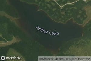 Arthur Lake
