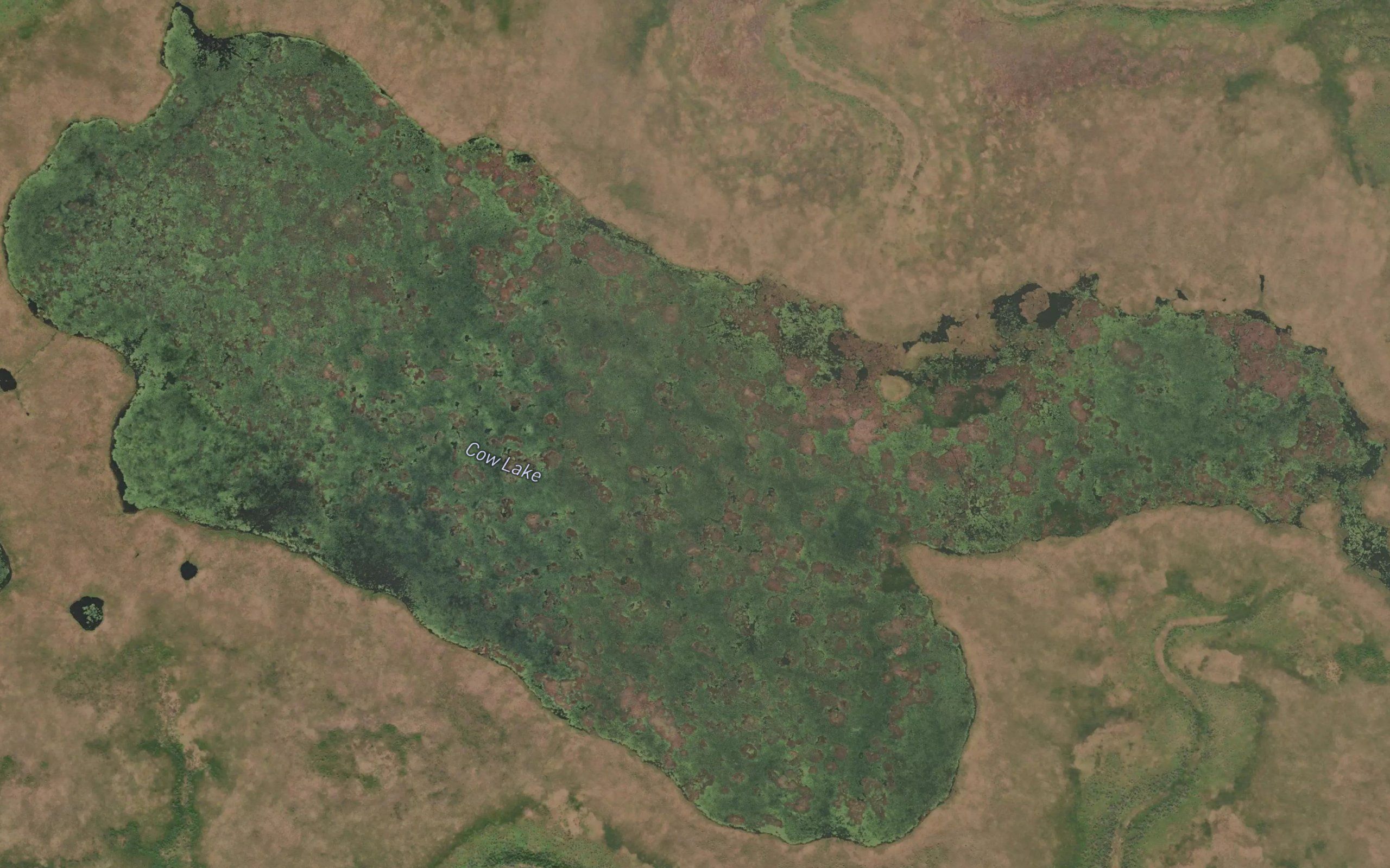 Cow Lake