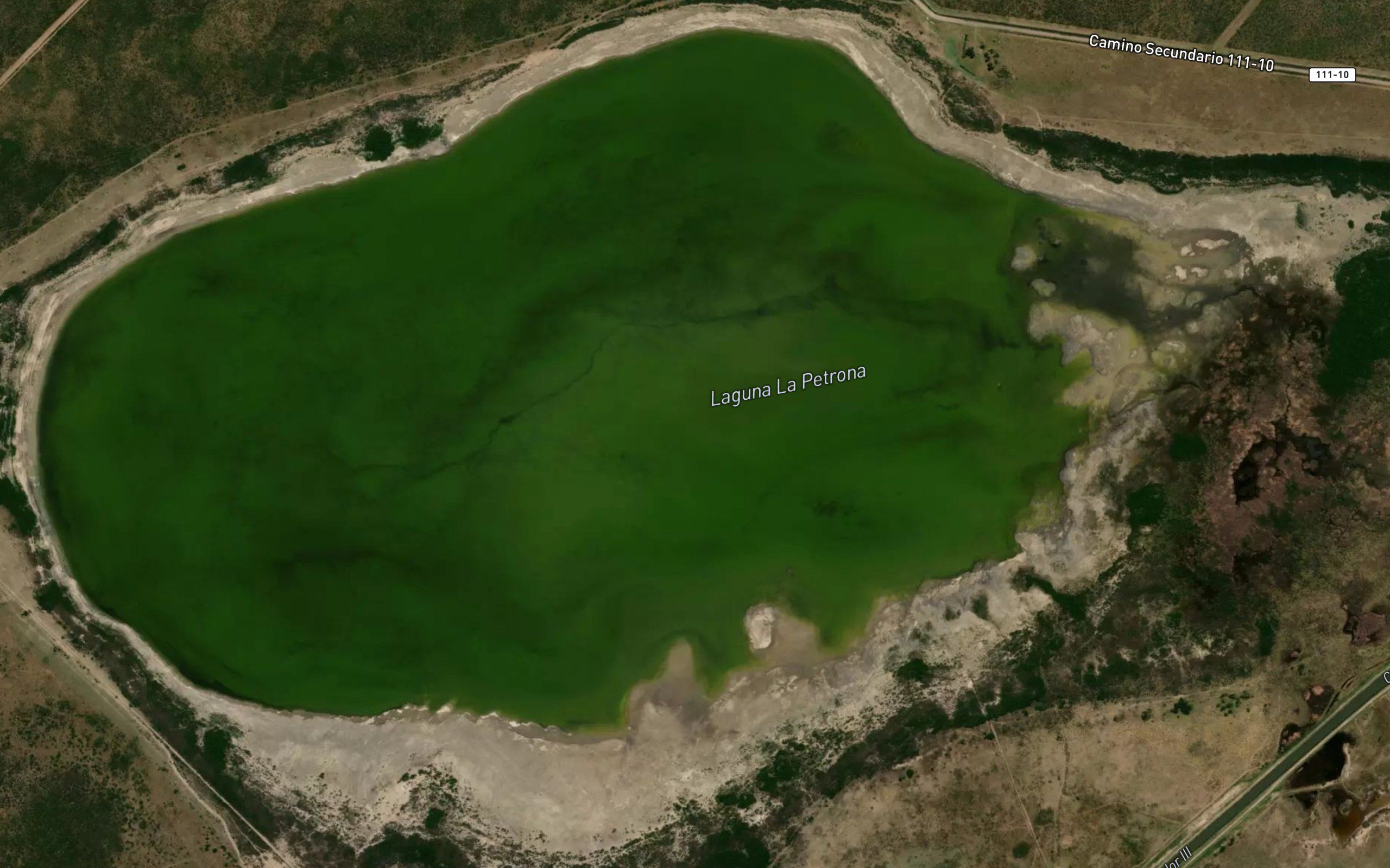 Laguna La Petrona