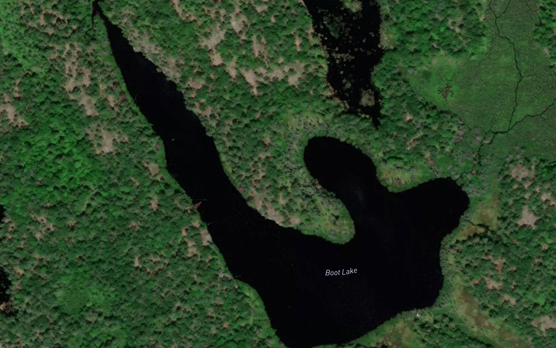 Satellite map of the Boot Lake