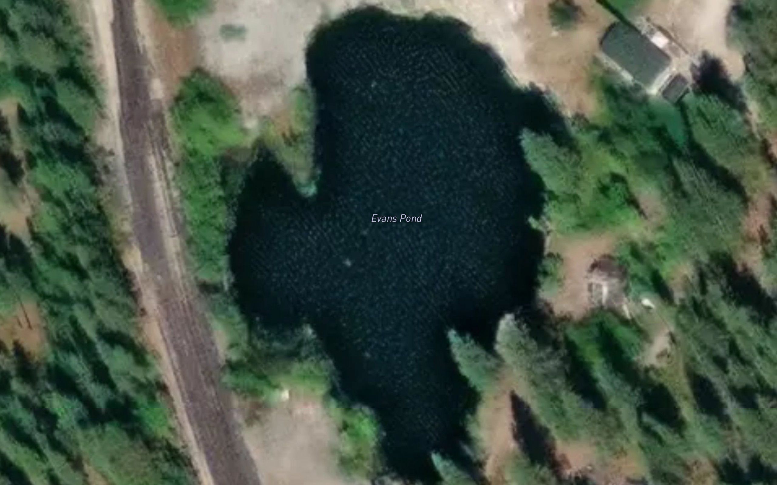 Evans Pond