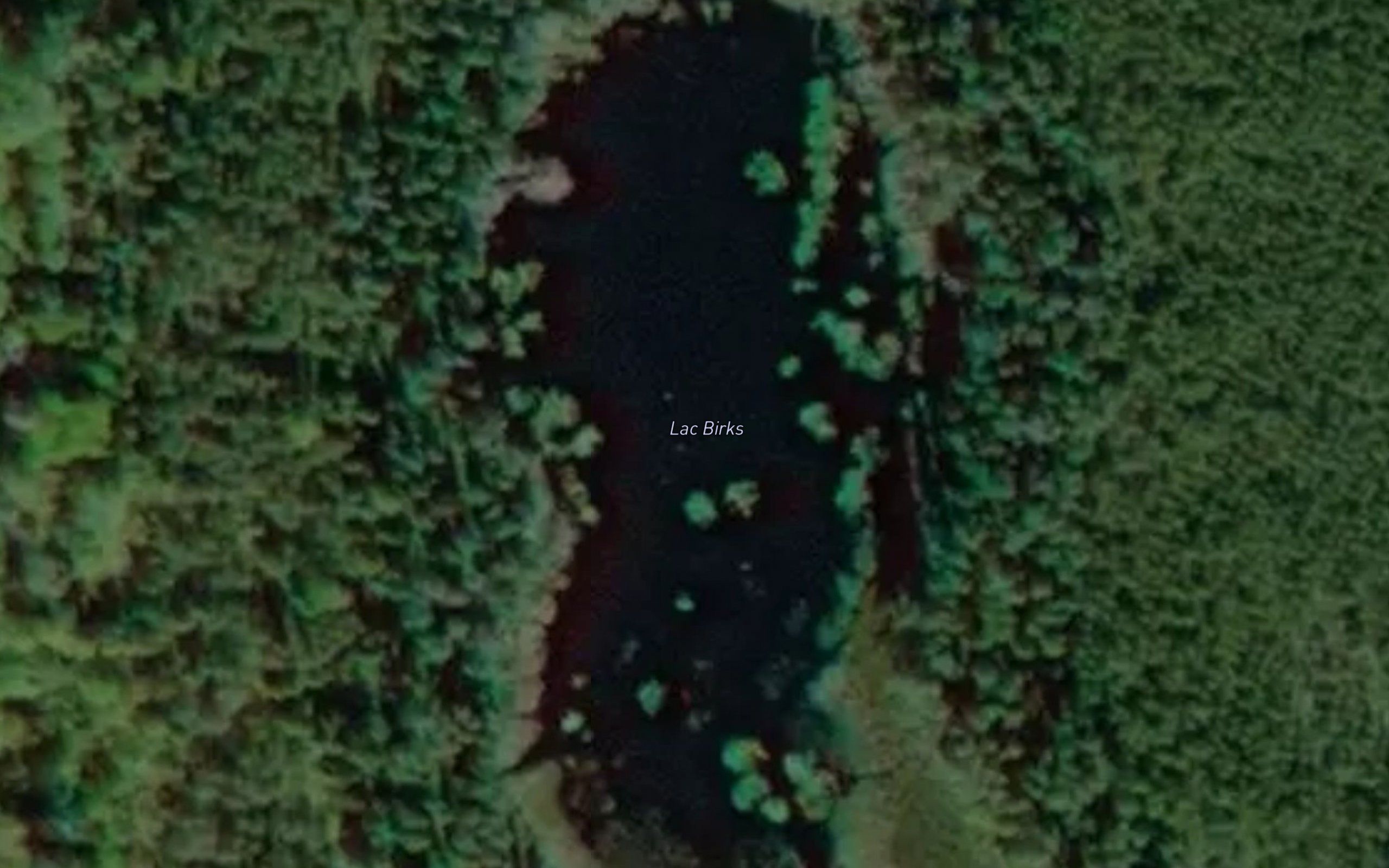 Lac Birks
