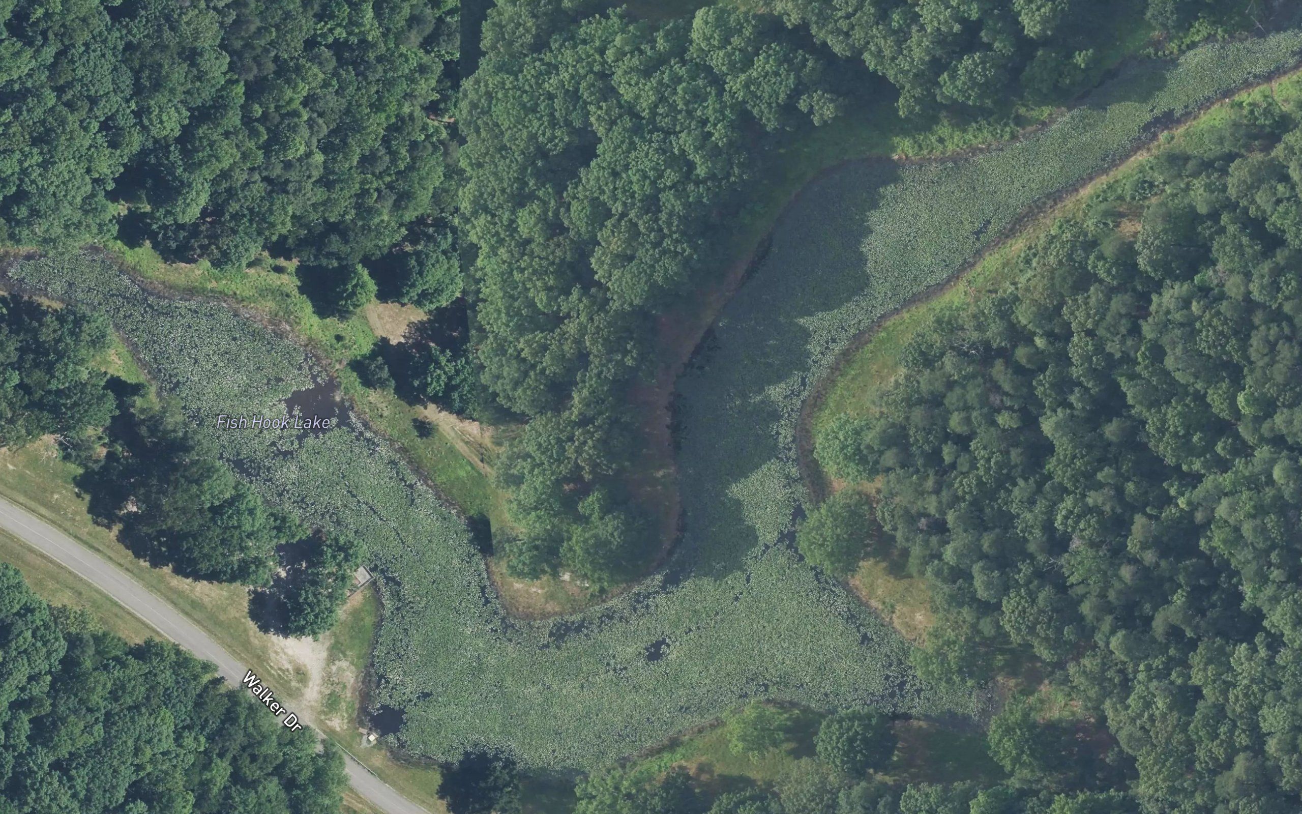 Fish Hook Lake