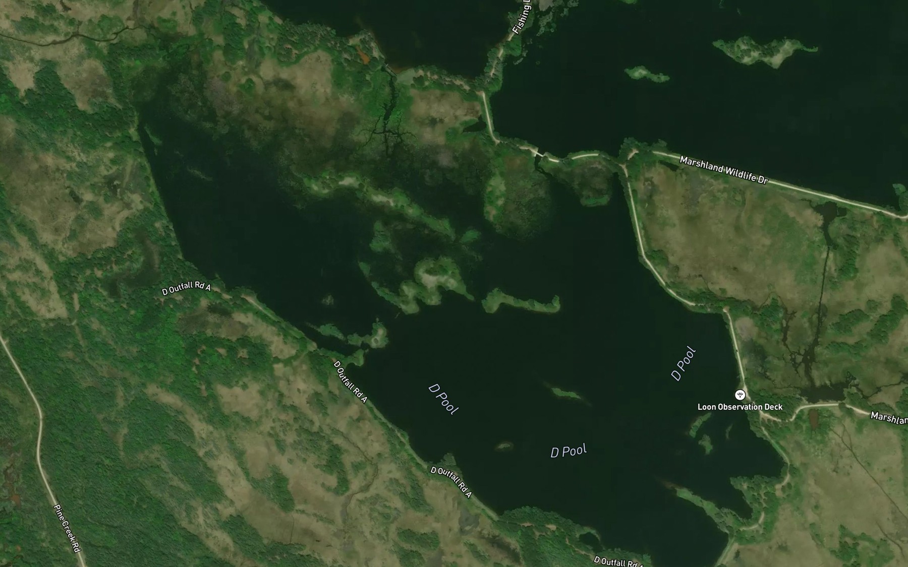 Satellite map of the D Pool