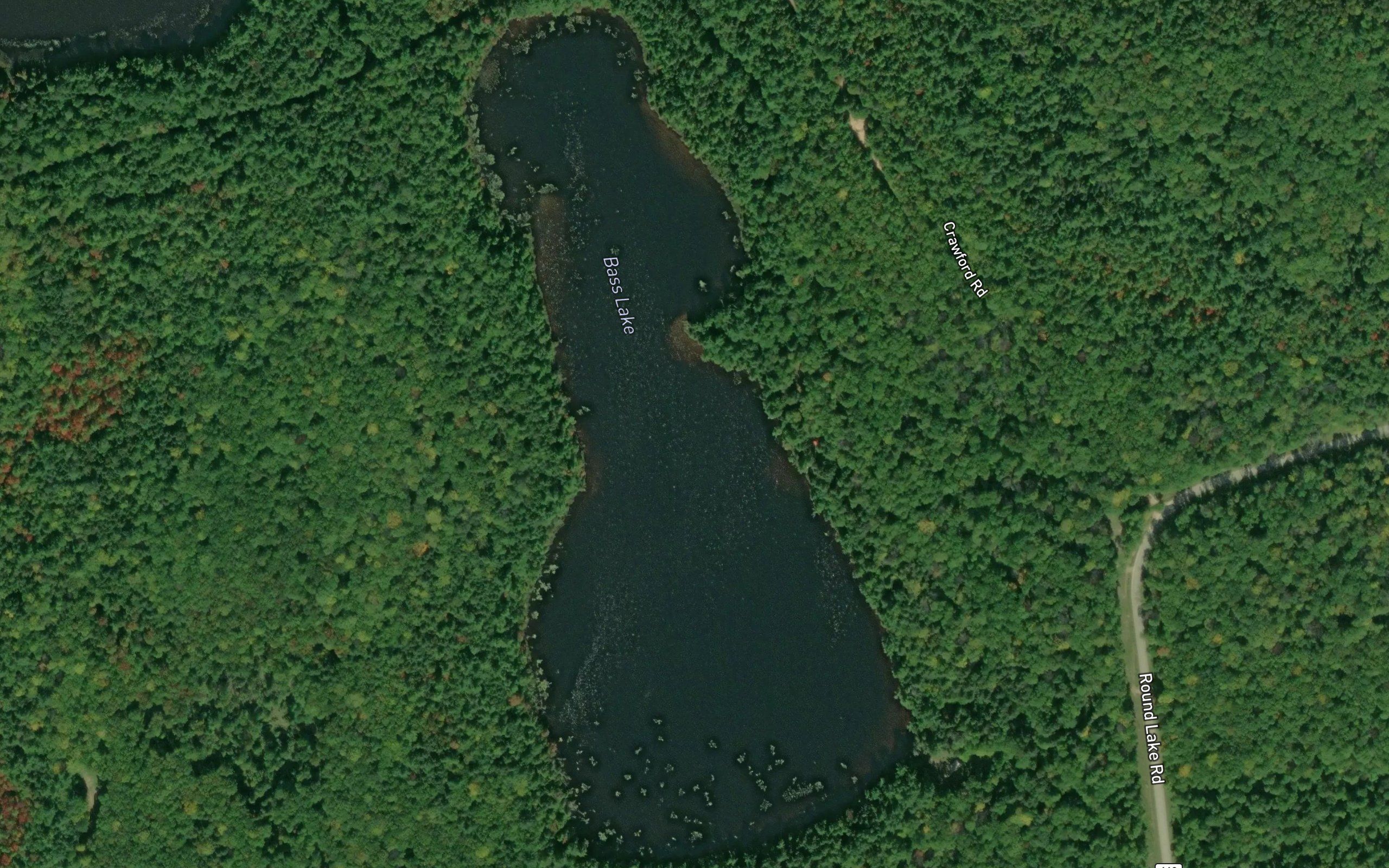 Bass Lake
