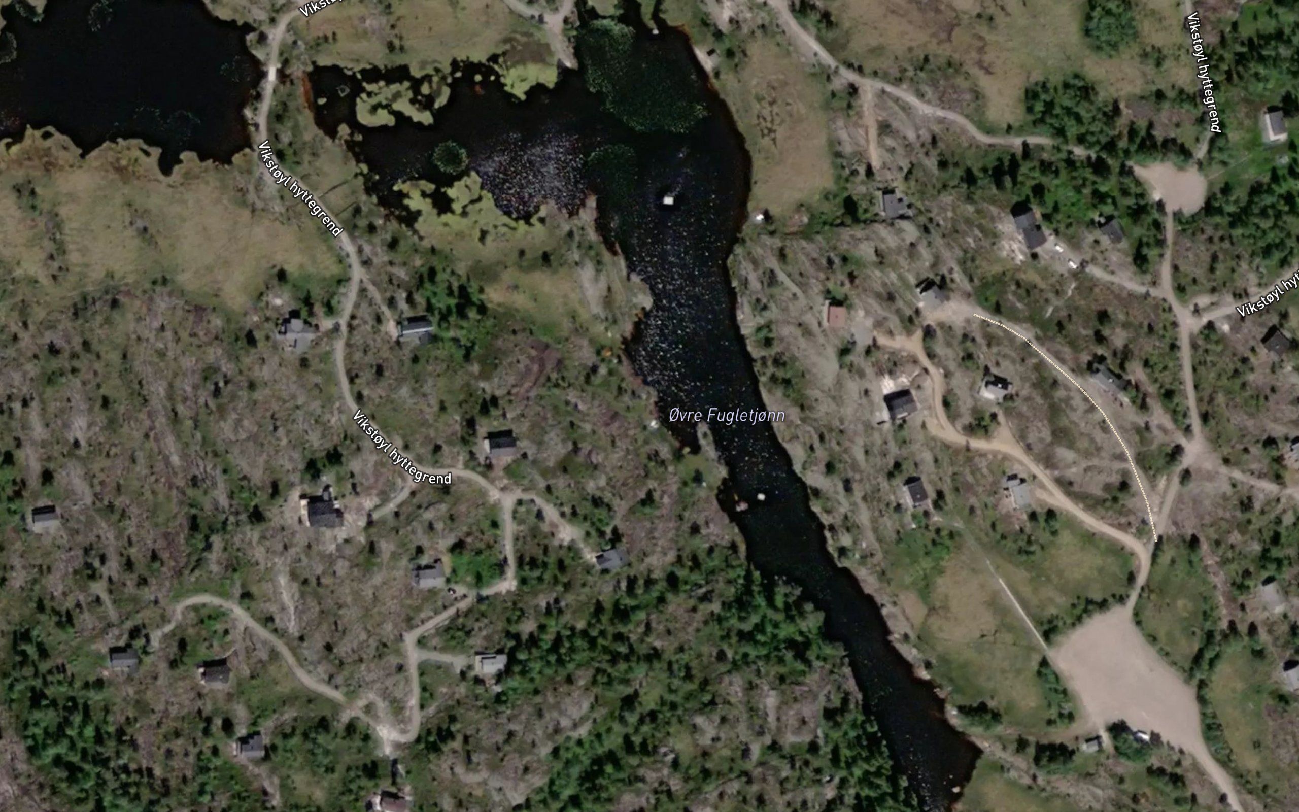 Fugletjorn,ovre