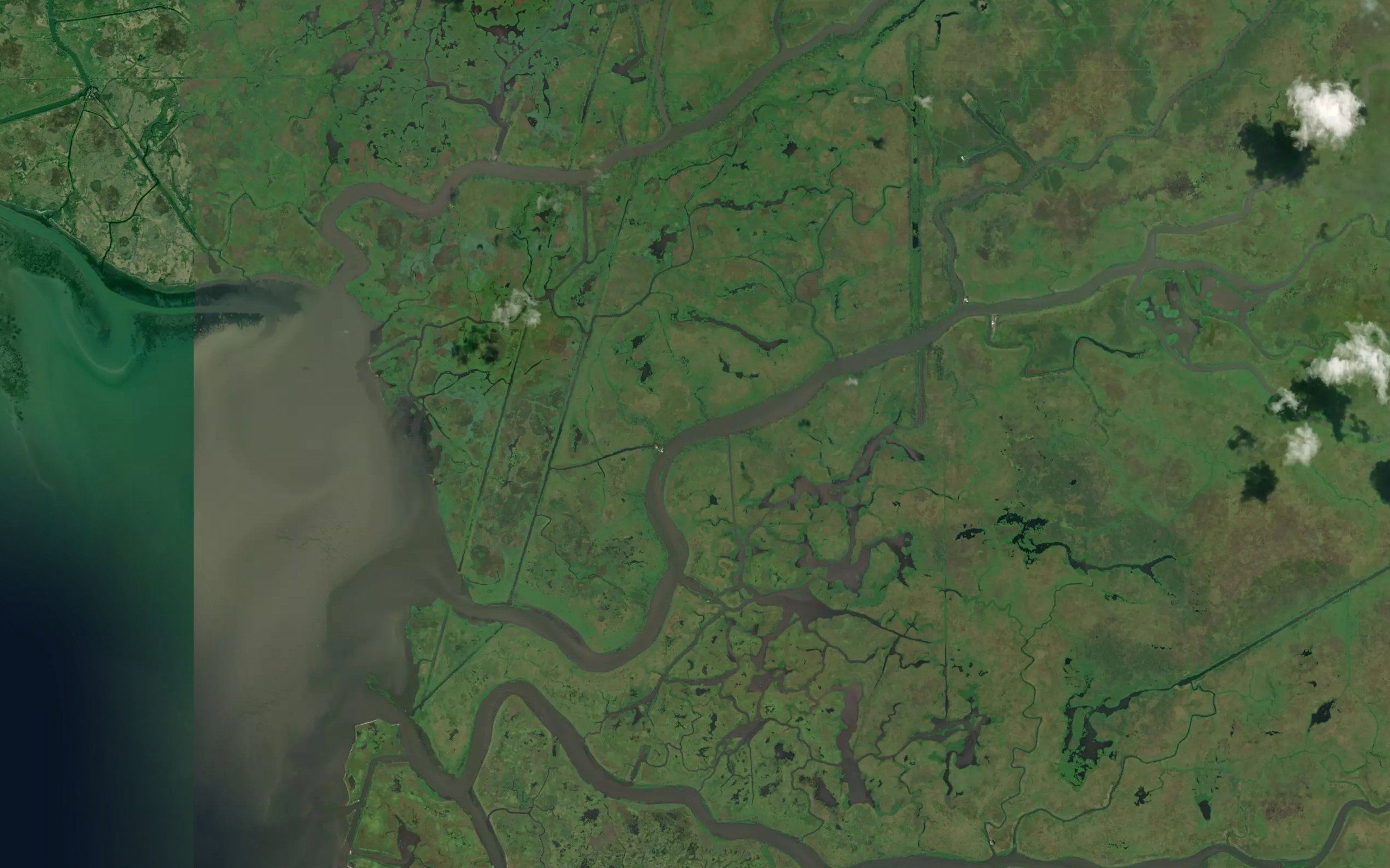 Plumb Bayou