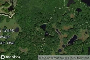 Rattz Lake