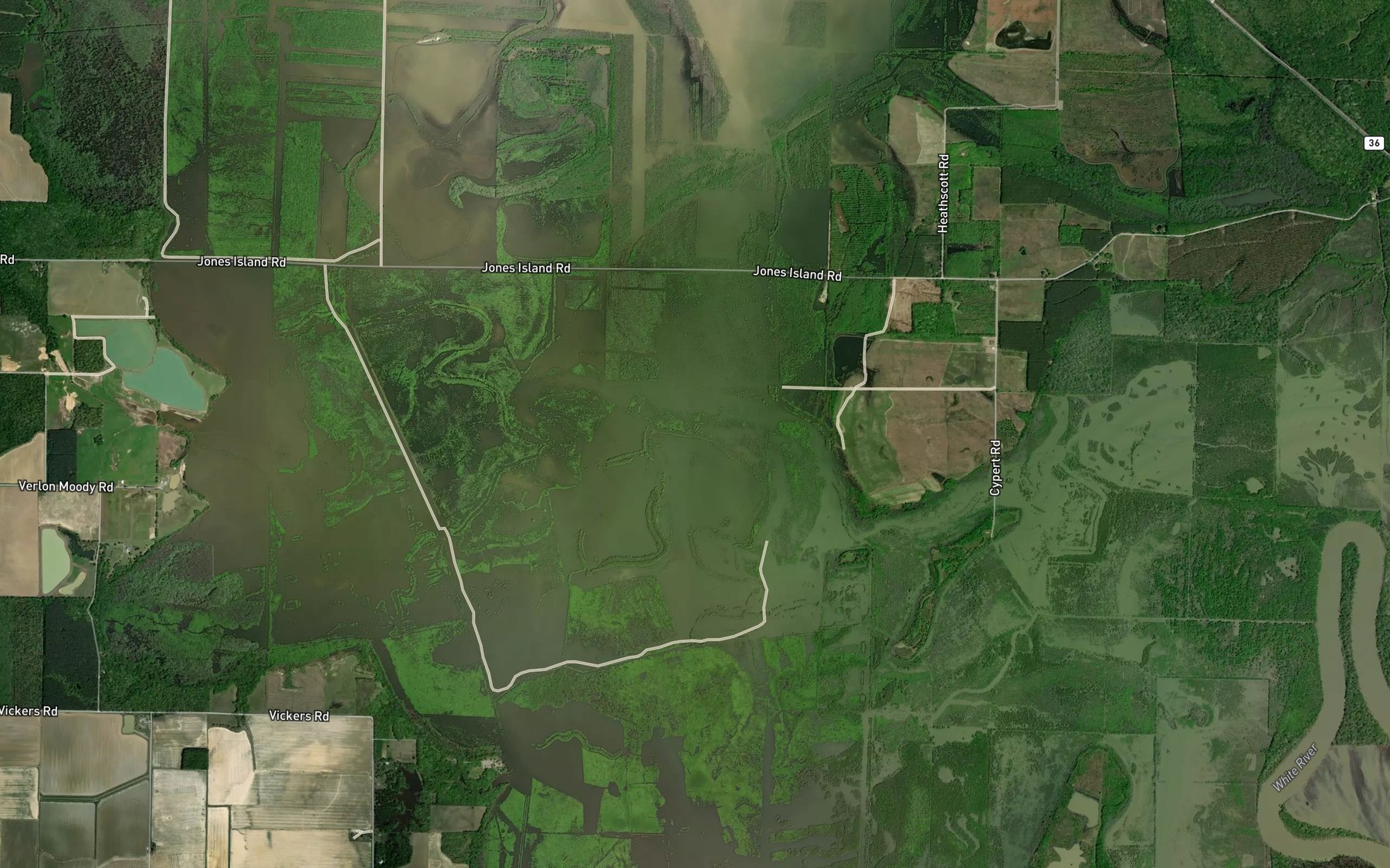 Satellite map of the Redman Lake Slough