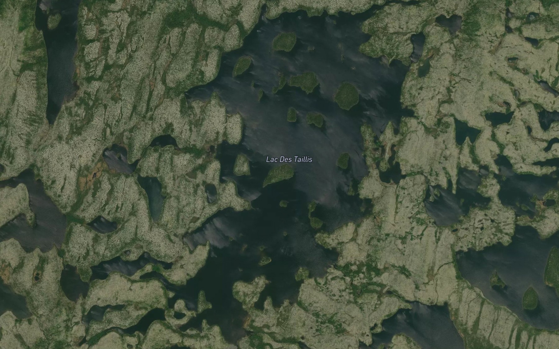 Satellite map of the Lac Des Taillis