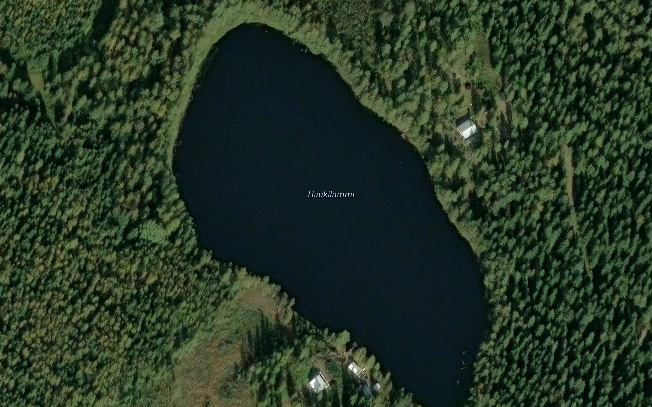 Haukilammi