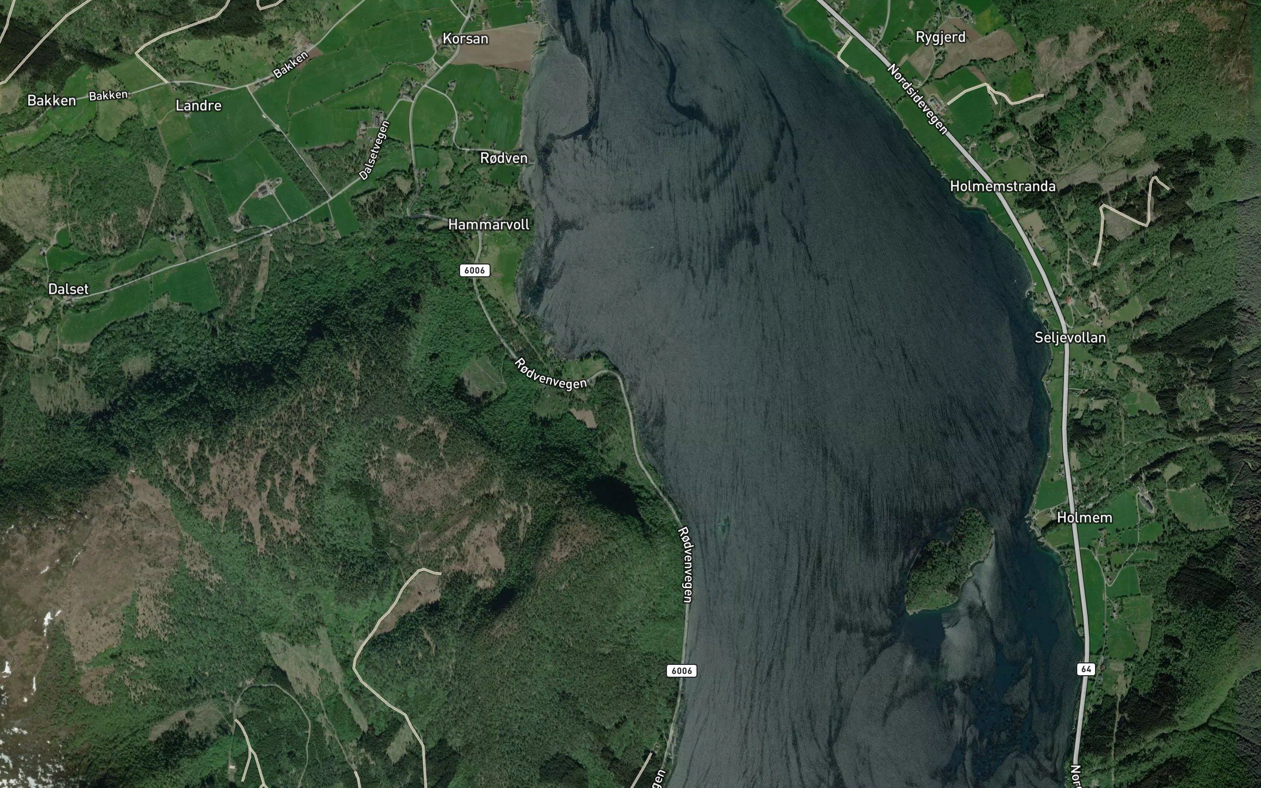 Skitnevika