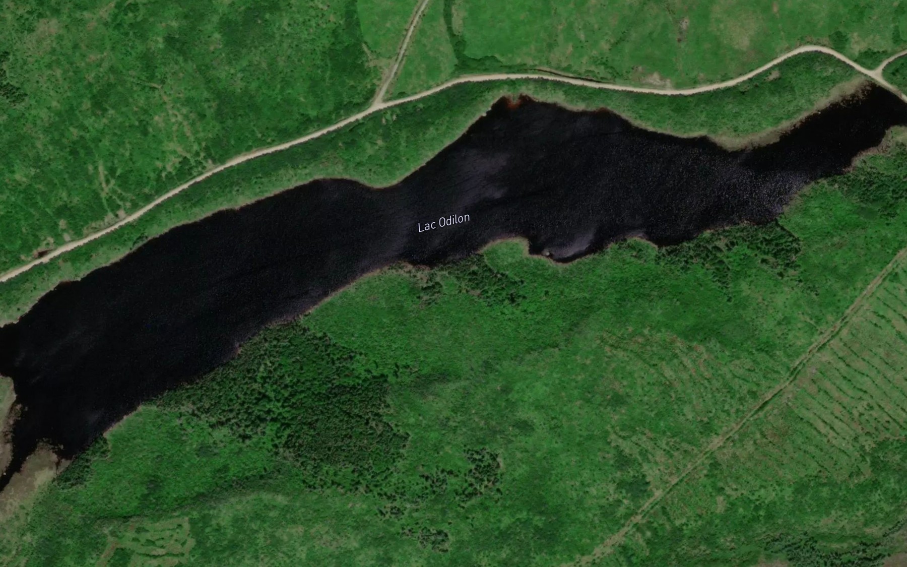 Satellite map of the Lac Odilon