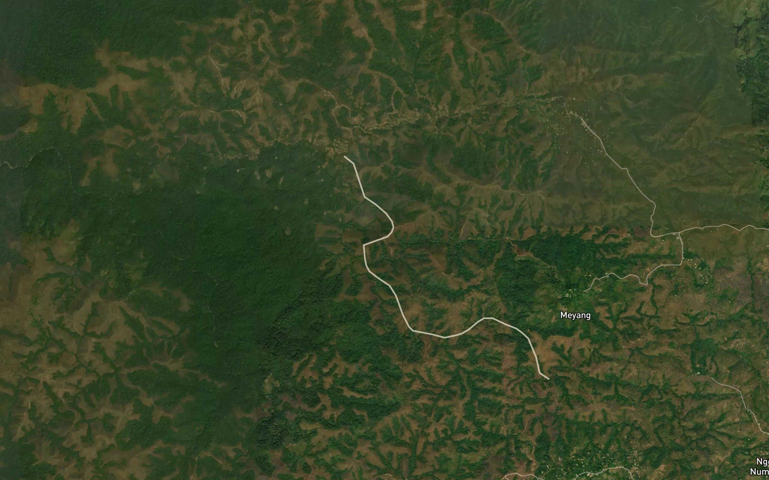 Mughi