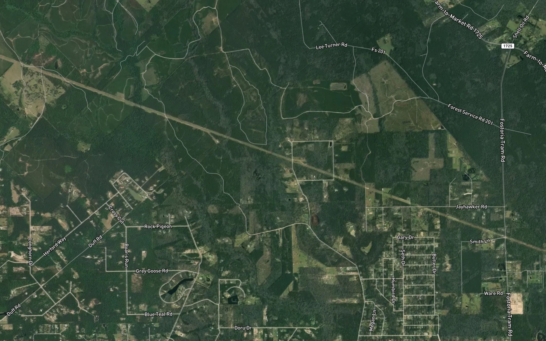 Satellite map of the Blue Branch