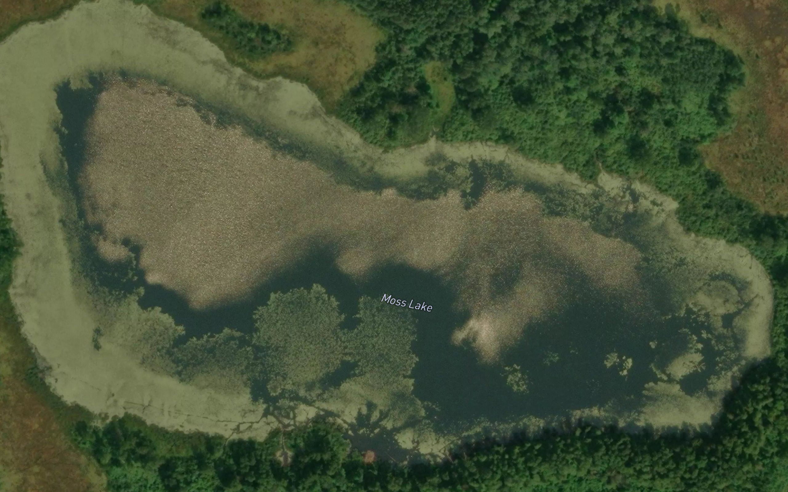 Moss Lake