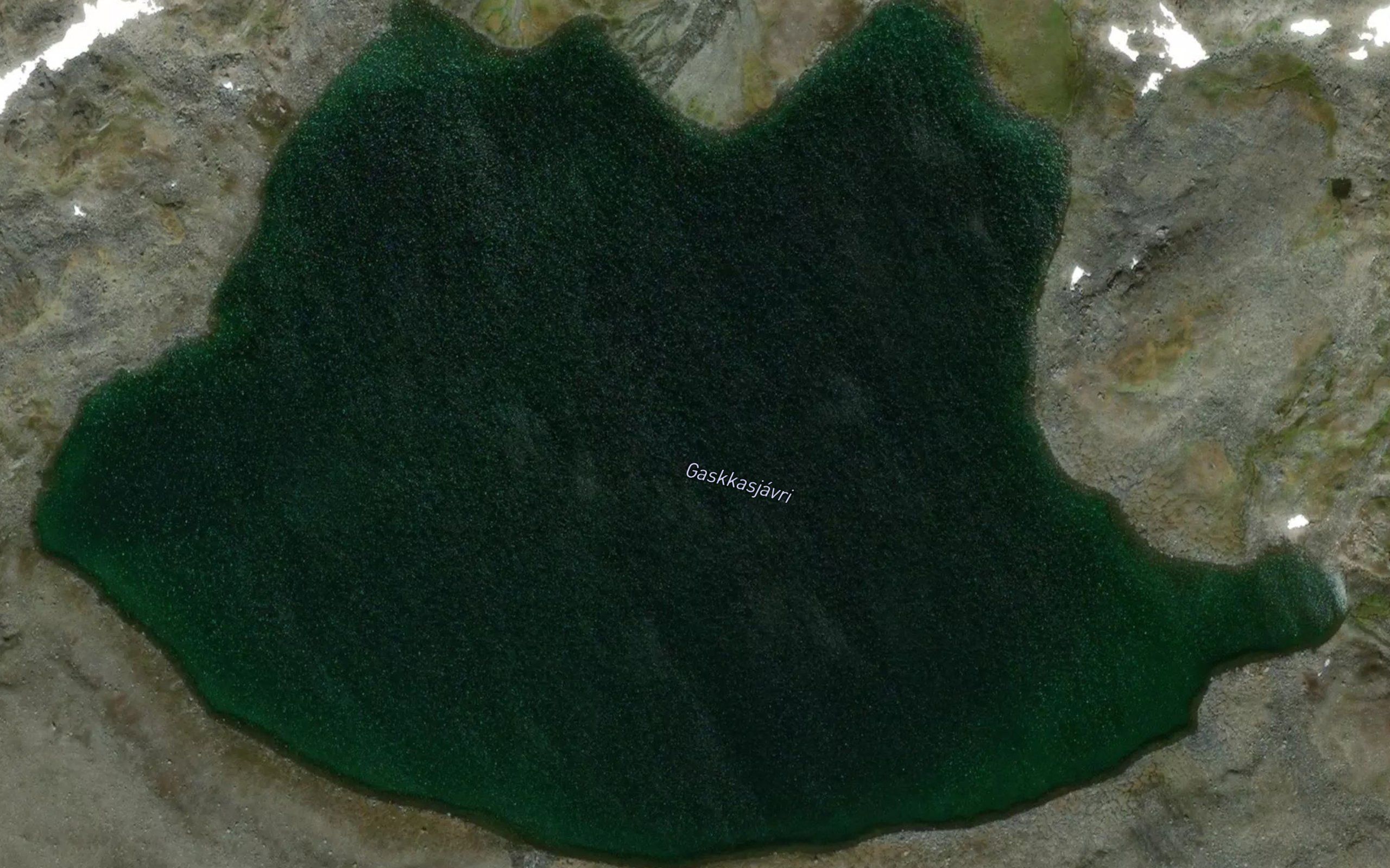 Gaskkasjavri